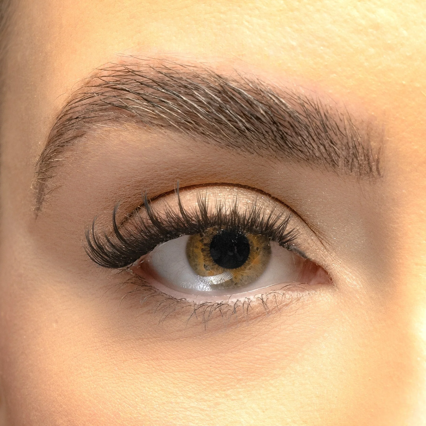 CatEyeHybridIndividualClusterLashes