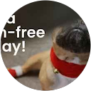 Jashanpreetsingh Jashanpreetsingh profile picture
